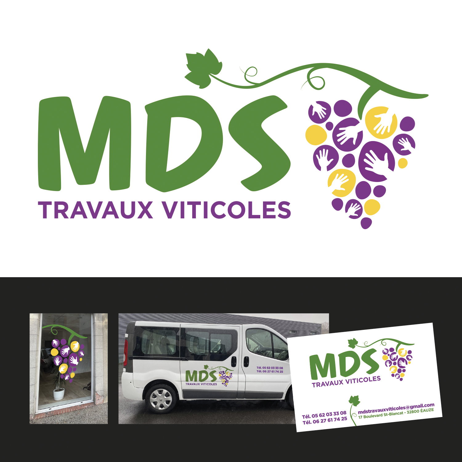 Création Logo MDS ©Marc Cluzet